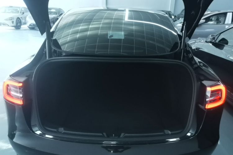 Tesla Model 3 2021 #19 Tesla Model 3 2021 car image #19
