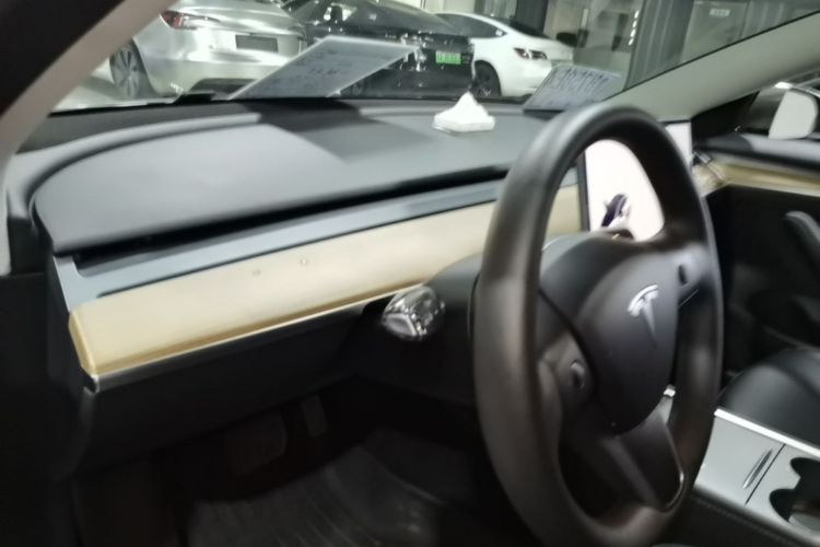 Tesla Model 3 2023 immagine di auto #10