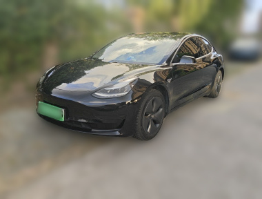 Tesla Model 3 2020 Tesla Model 3 2020 car image