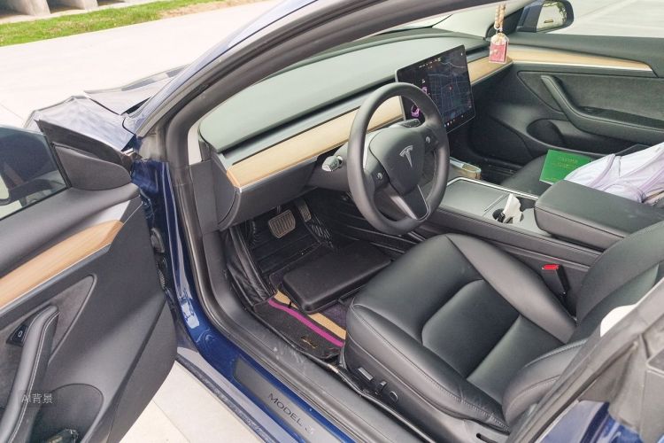 Tesla Model 3 2021 car image #18