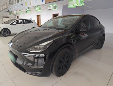 Tesla Model Y 2021 car image 