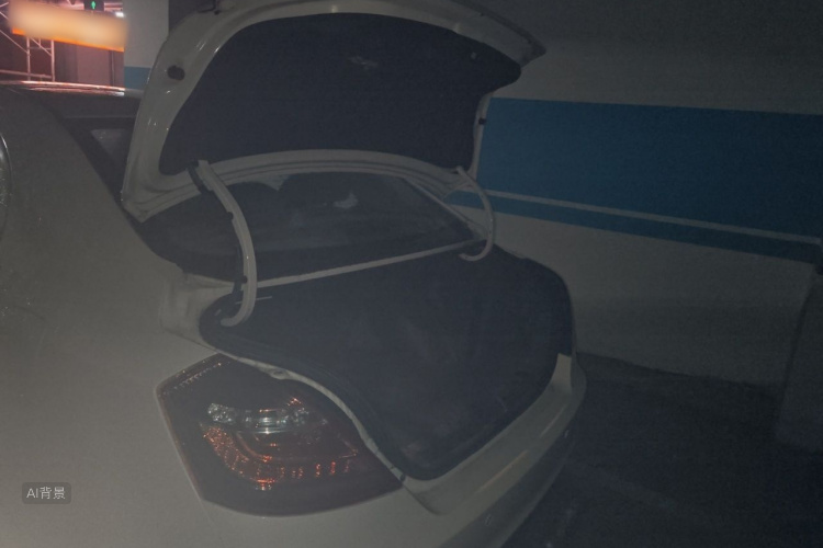 GEELY Emgrand 2015 car image #21