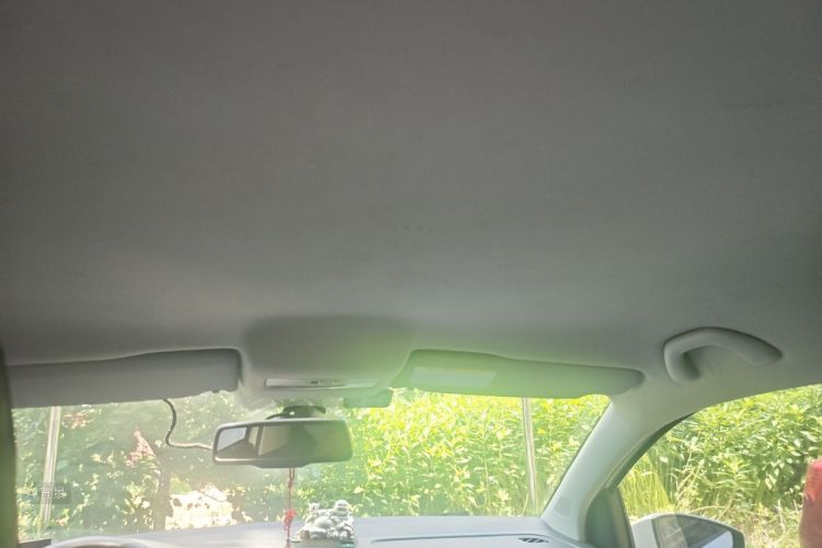 Volkswagen Polo 2015 car image #20