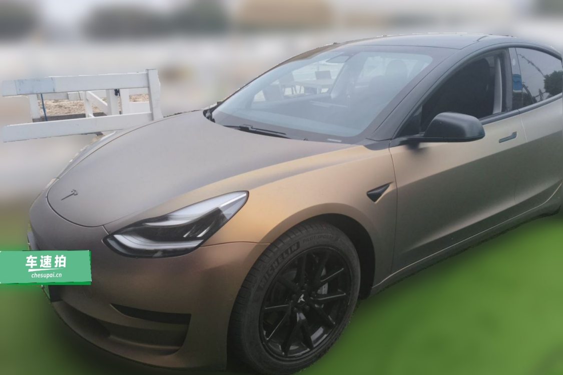 Tesla Model 3 2020 Tesla Model 3 2020 immagine di auto
