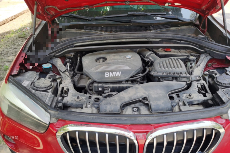 BMW X1 2017 car image #22