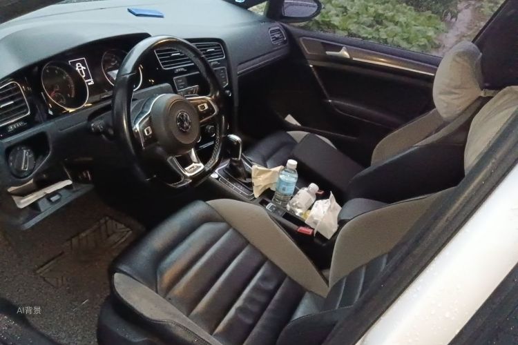 Volkswagen Golf 2017 car image #17