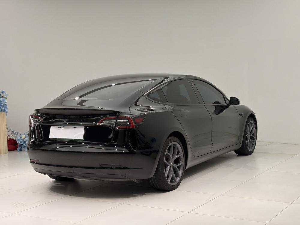 Tesla Model 3 2021 car image #6