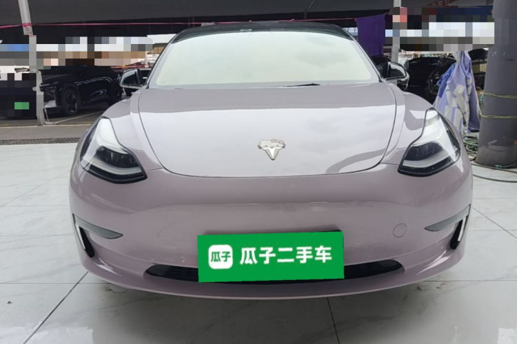 Tesla Model 3 2021 imagem de carro #3