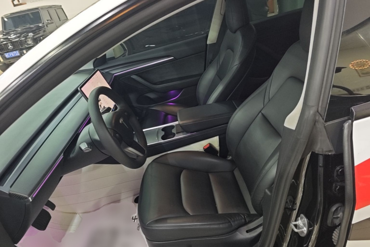 Tesla Model 3 2021 #15 Tesla Model 3 2021 car image #15