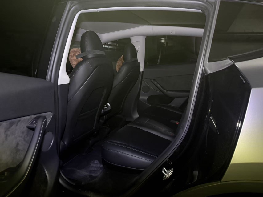 Tesla Model Y 2024 car image #4
