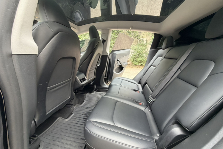 Tesla Model Y 2023 #12 Tesla Model Y 2023 car image #12