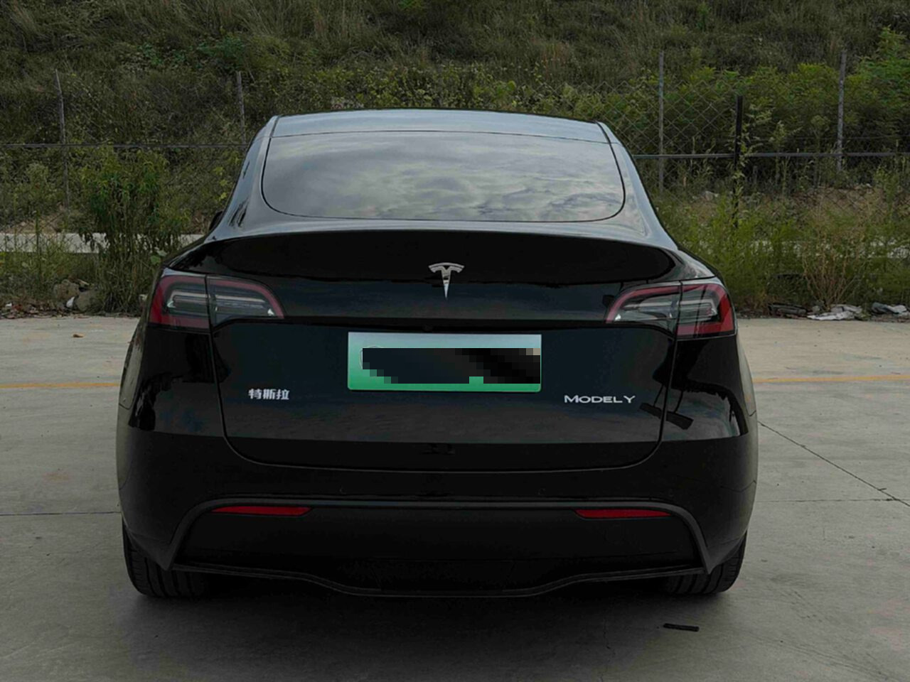 Tesla Model Y 2024 car image #8