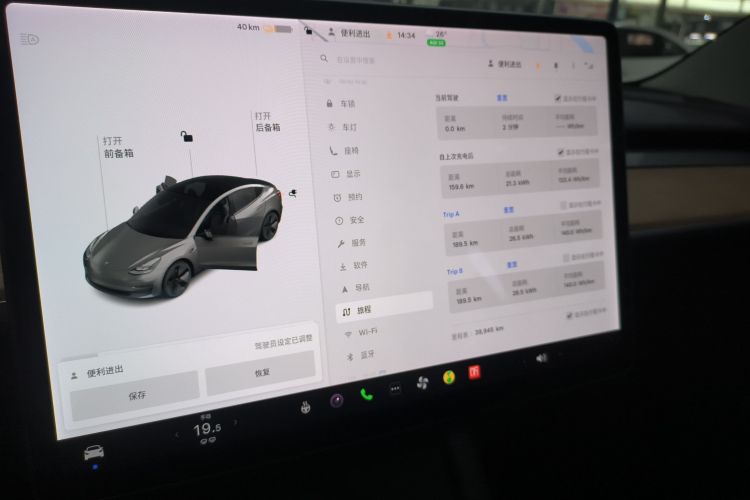 Tesla Model 3 2021 car image #12