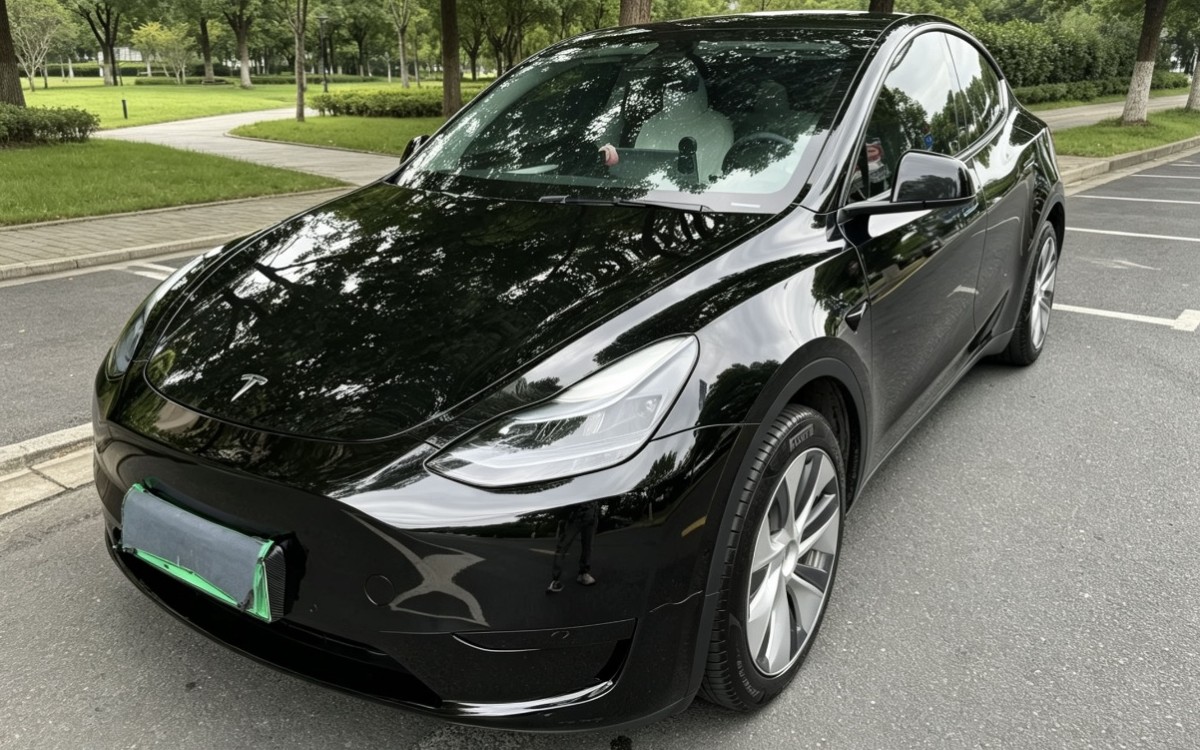 Tesla Model Y 2023 Tesla Model Y 2023 car image