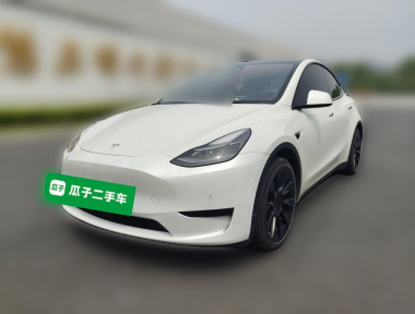 Tesla Model Y 2022 Tesla Model Y 2022 car image