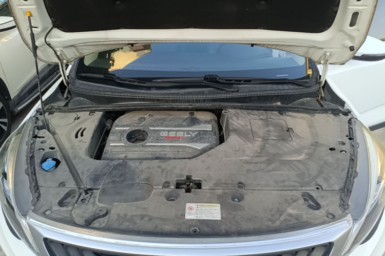GEELY Emgrand GS 2020 car image #20