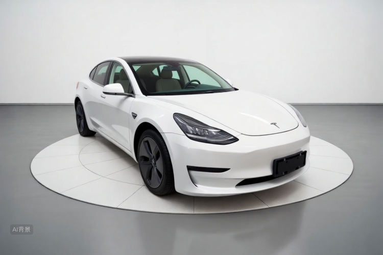 Tesla Model 3 2020 #4 Tesla Model 3 2020 car image #4