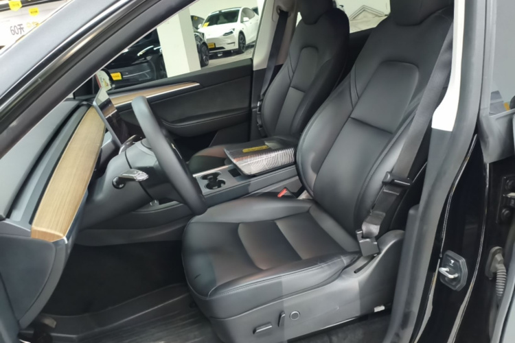 Tesla Model Y 2021 car image #19