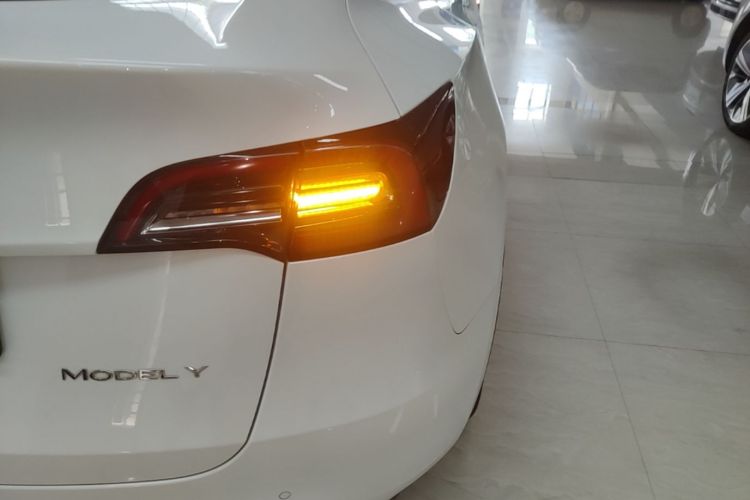 Tesla Model Y 2023 #8 Tesla Model Y 2023 car image #8