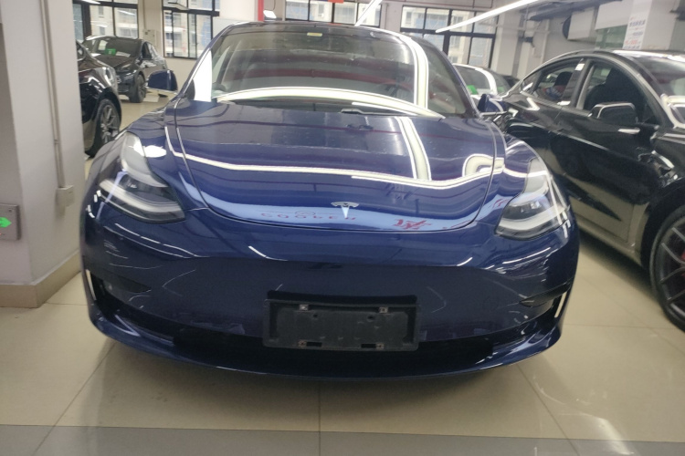 Tesla Model 3 2020 immagine di auto #3