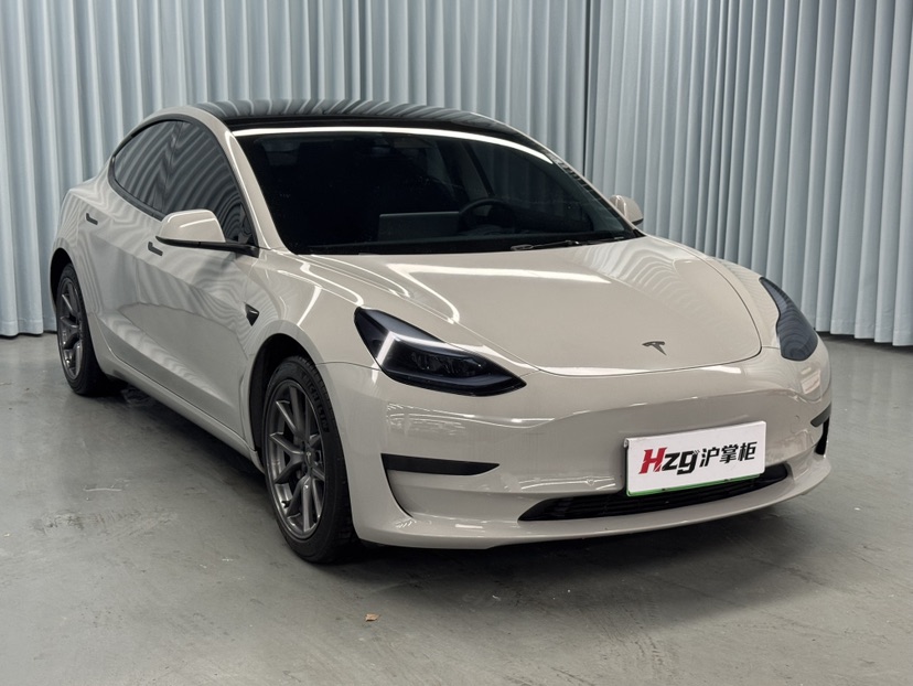 Tesla Model 3 2021 #3 Tesla Model 3 2021 car image #3