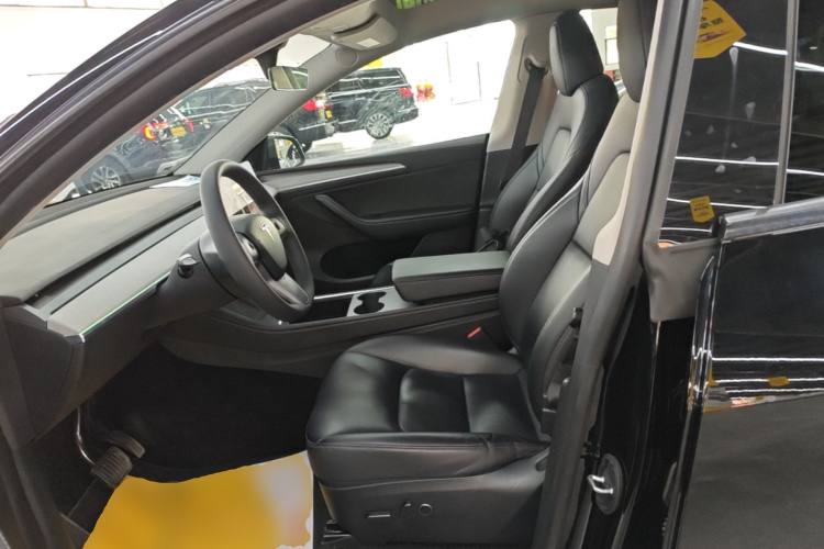 Tesla Model Y 2024 car image #15