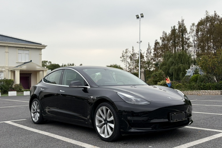 Tesla Model 3 2020 imagem de carro #3