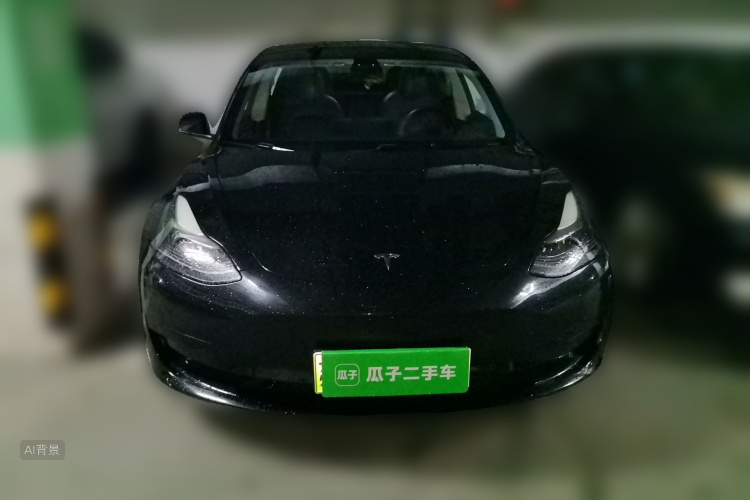 Tesla Model 3 2021 #3 Tesla Model 3 2021 car image #3