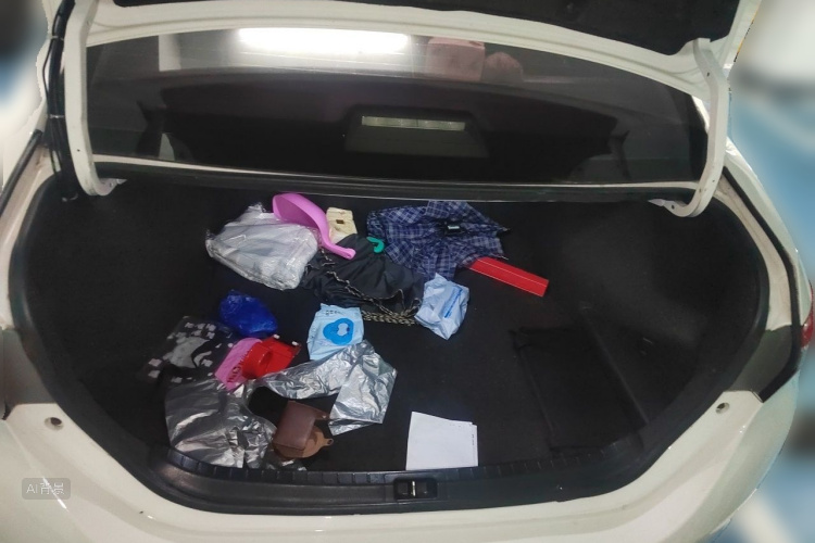 Toyota Corolla 2016 car image #21