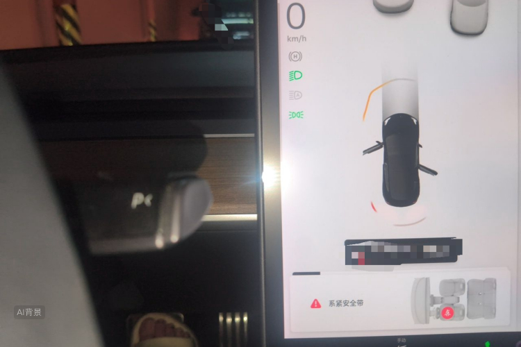 Tesla Model 3 2021 car image #13