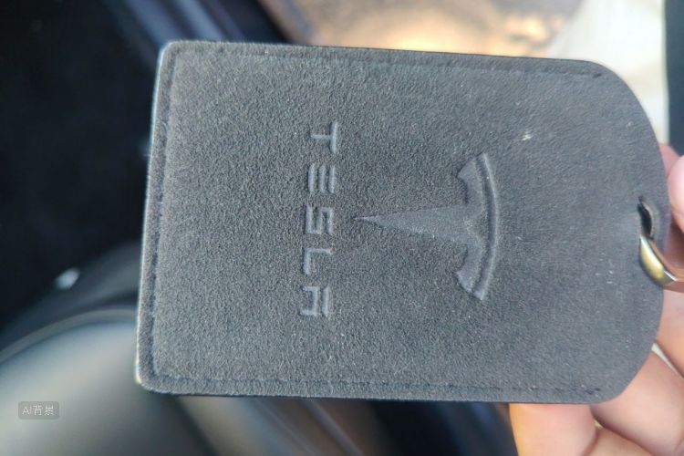 Tesla Model Y 2023 #10 Tesla Model Y 2023 car image #10