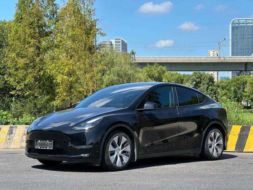 Tesla Model Y 2021 car image 