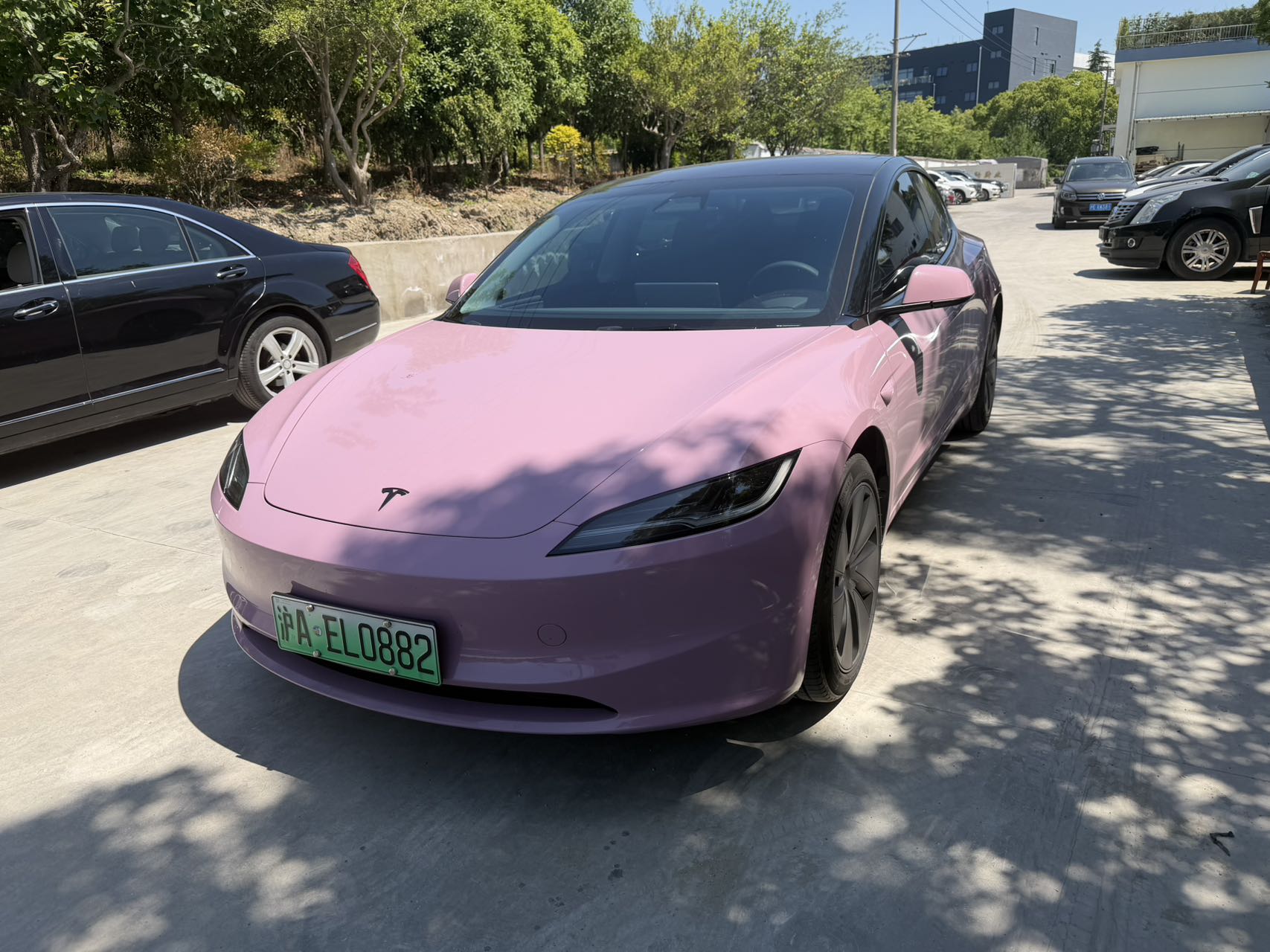 Tesla Model 3 2024 car image 