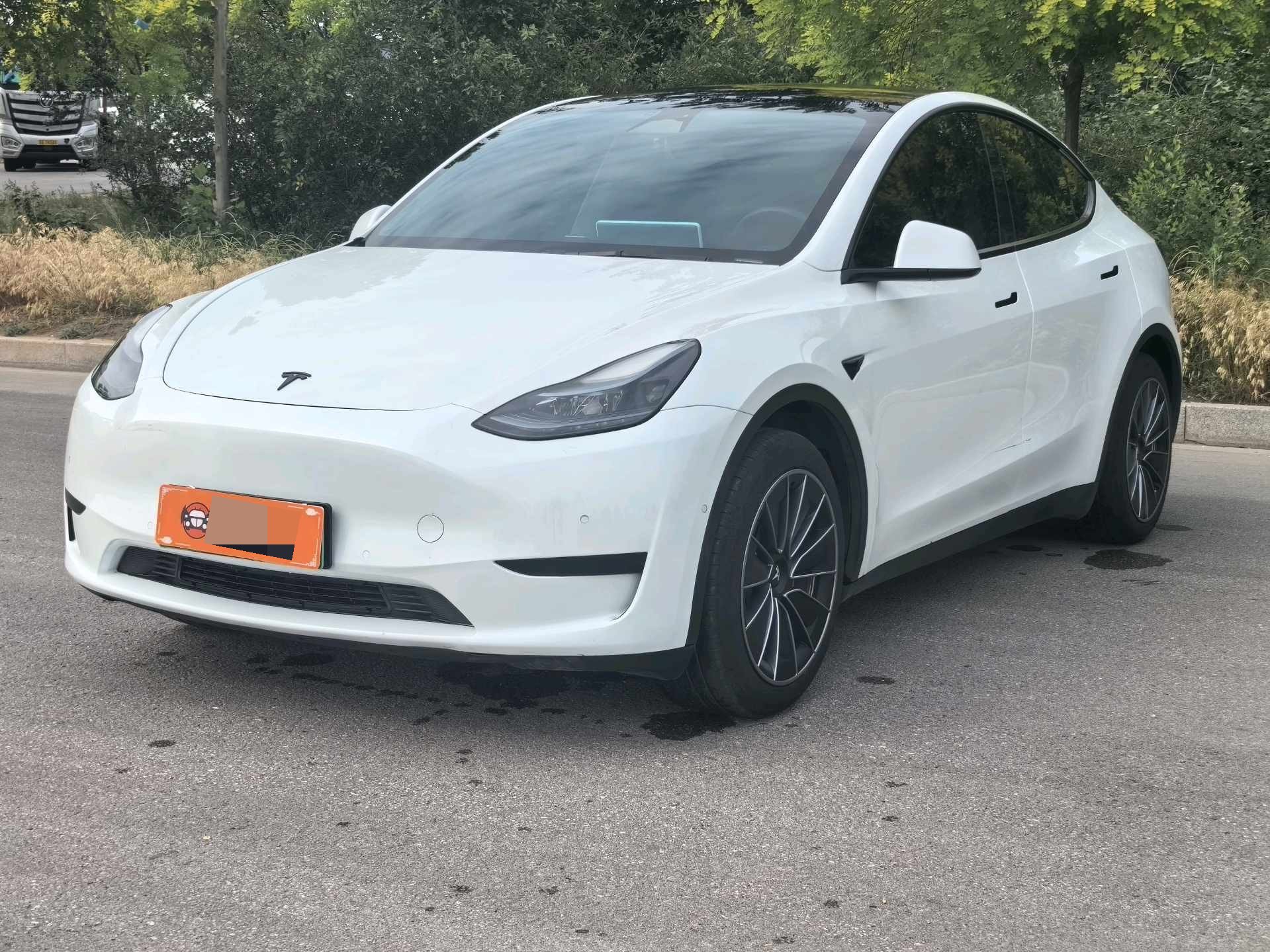 Tesla Model Y 2023 Tesla Model Y 2023 car image