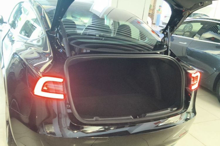 Tesla Model 3 2021 #19 Tesla Model 3 2021 car image #19