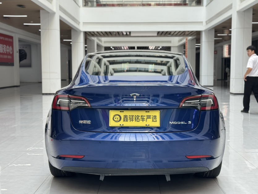 Tesla Model 3 2020 #6 Tesla Model 3 2020 car image #6