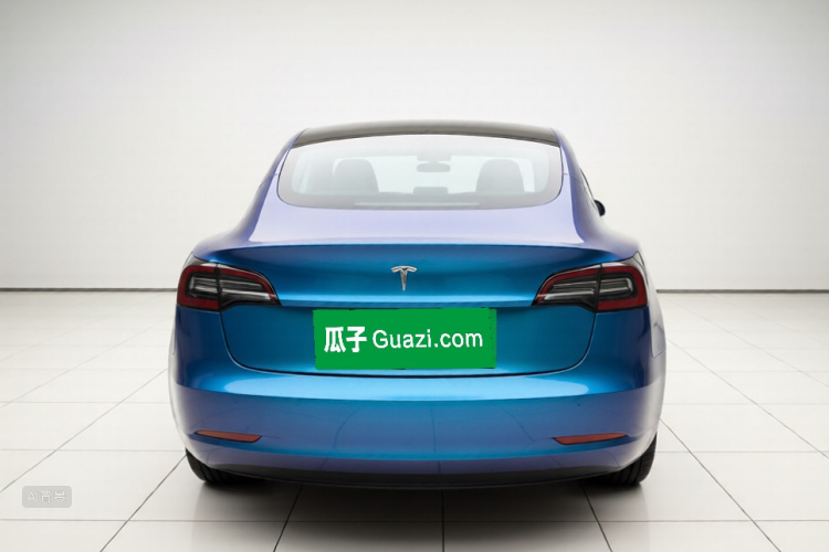 Tesla Model 3 2020 immagine di auto #6