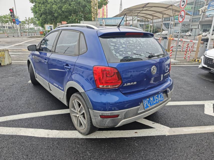 Volkswagen Polo 2013 car image #6