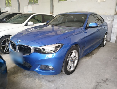 BMW 3 Series GT 2019 car image 