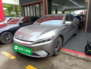 BYD Han 2022 immagine di auto 