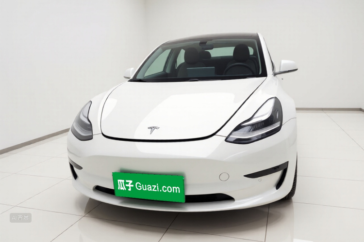 Tesla Model 3 2020 car image #3