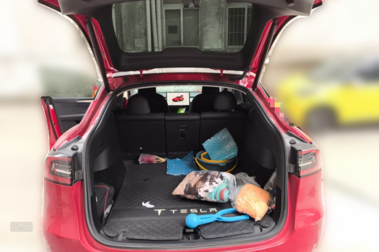 Tesla Model Y 2023 car image #21