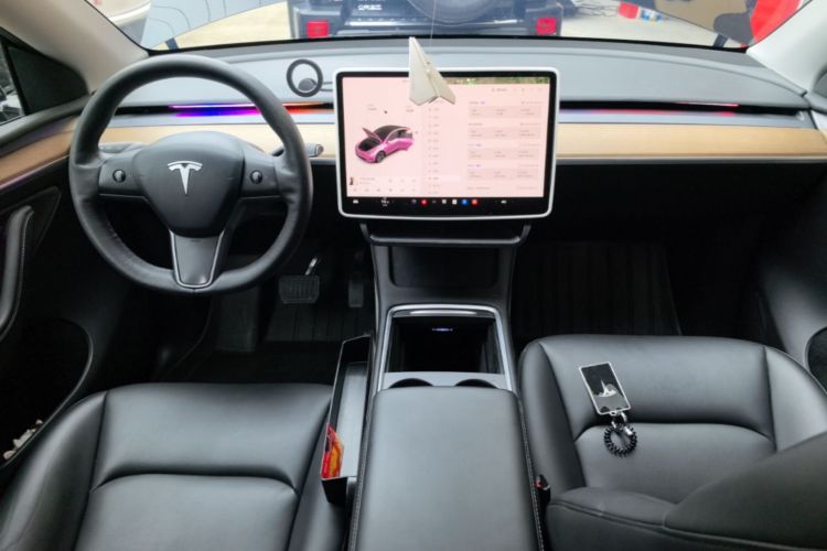 Tesla Model Y 2021 car image #10