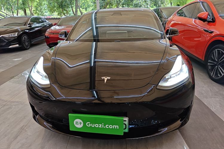 Tesla Model 3 2020 #3 Tesla Model 3 2020 car image #3