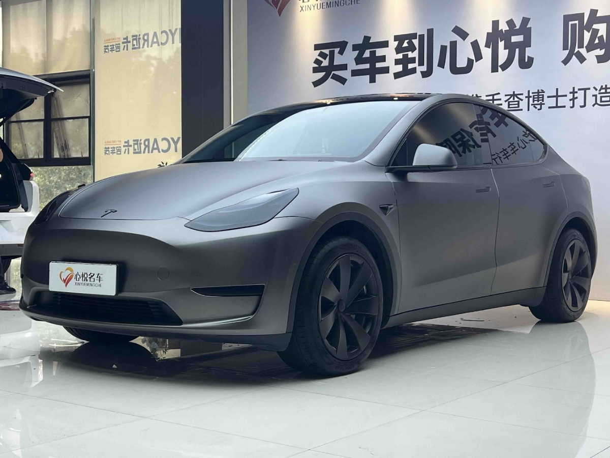 Tesla Model Y 2023 car image 