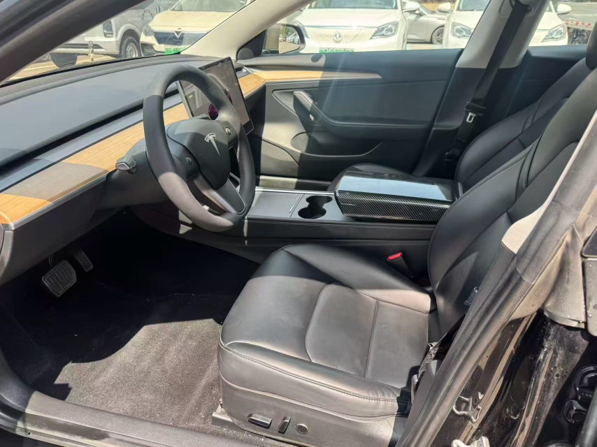 Tesla Model 3 2021 immagine di auto #4