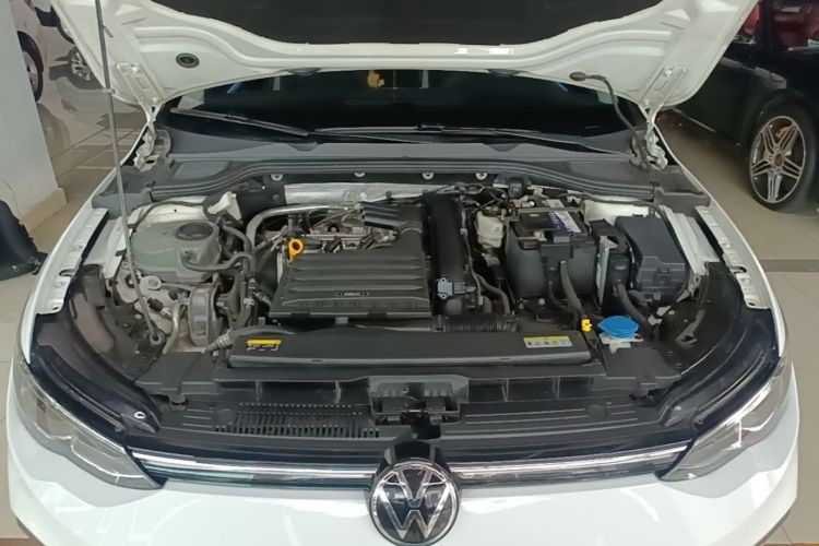 Volkswagen Golf 2021 car image #20