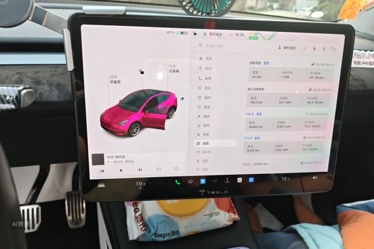 Tesla Model Y 2021 car image #15