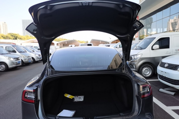 Tesla Model 3 2020 car image #19