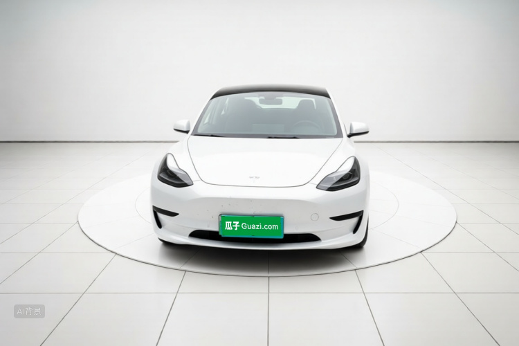 Tesla Model 3 2023 #3 Tesla Model 3 2023 car image #3